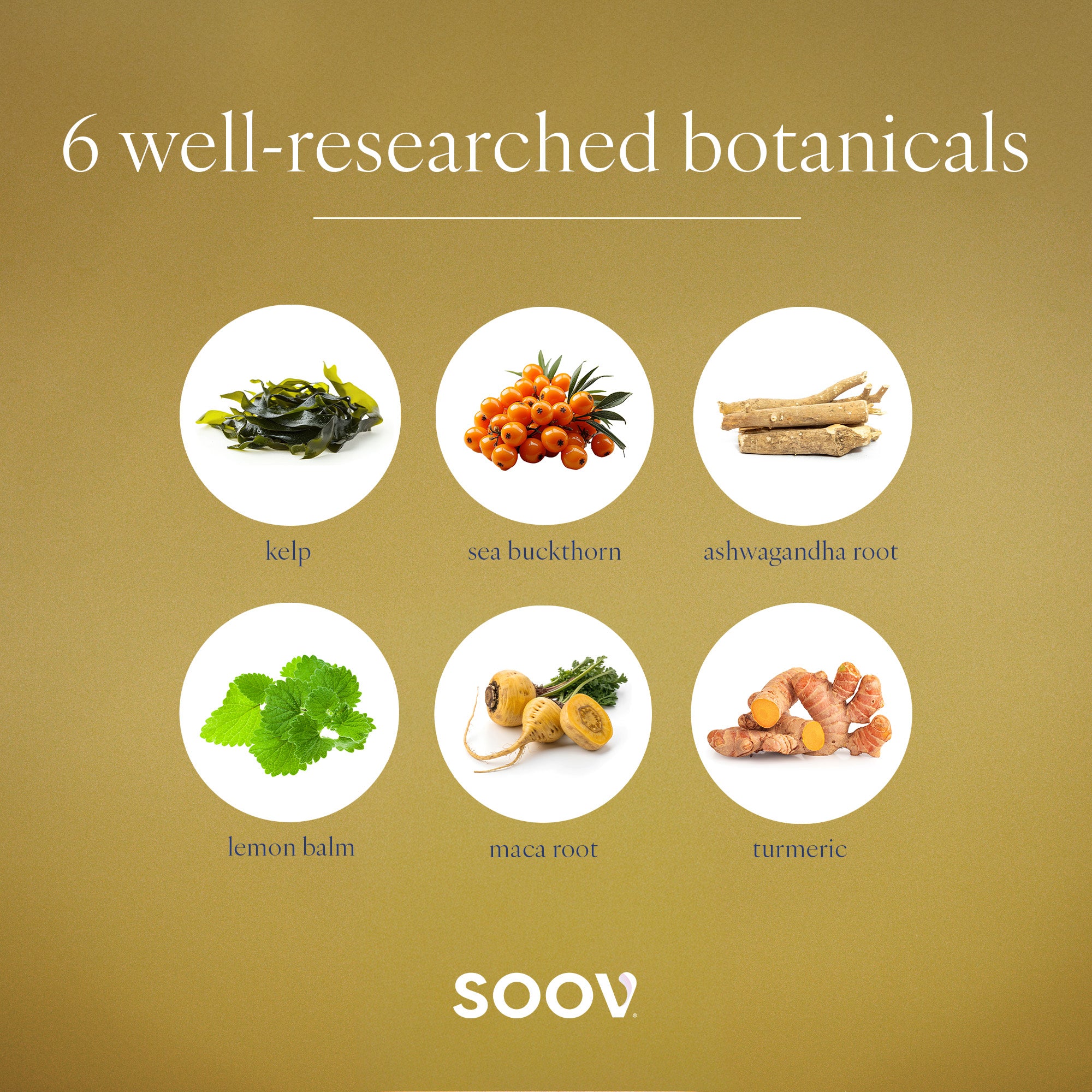 40+ - Perimenopause Supplement