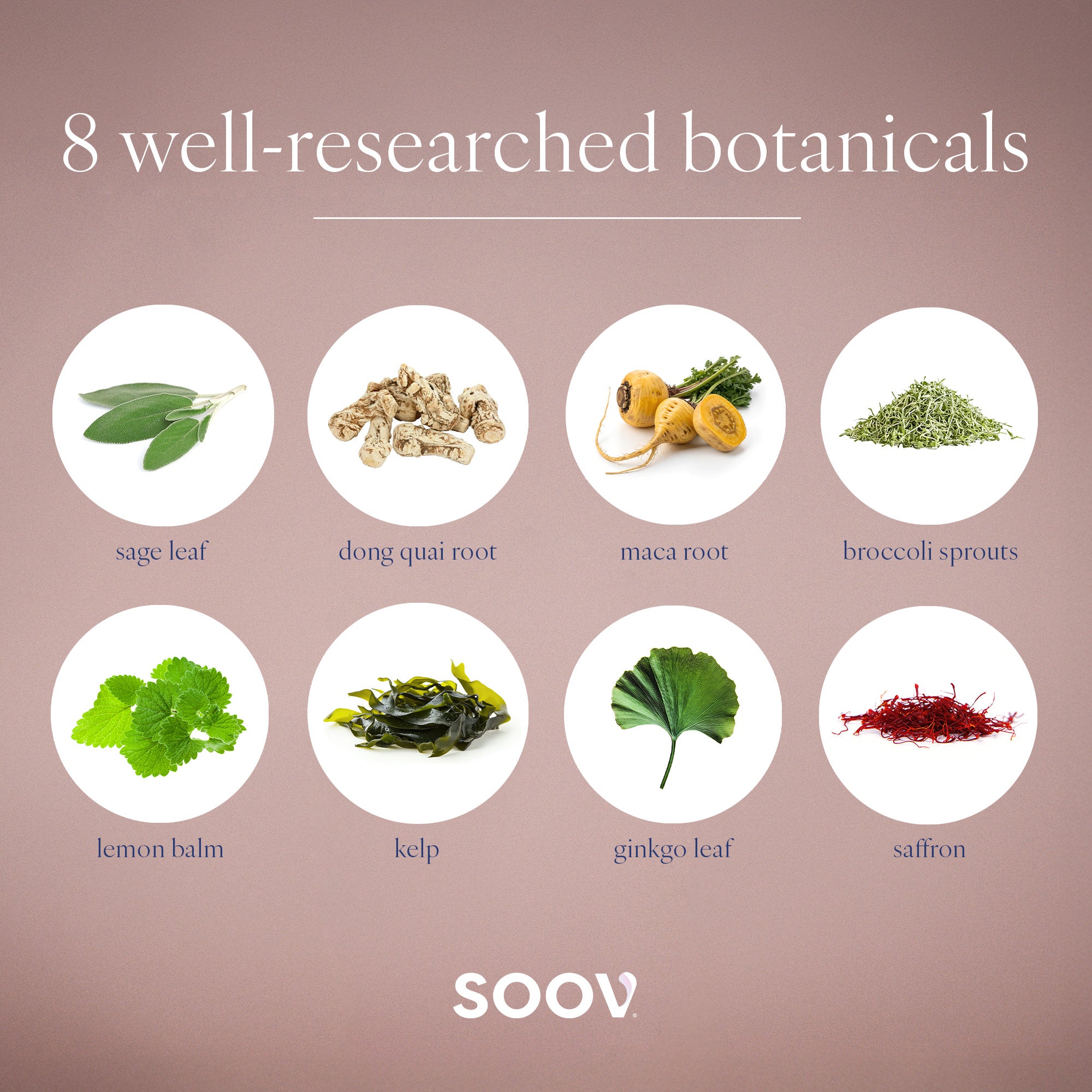 Flow - Menstrual Cycle Supplement