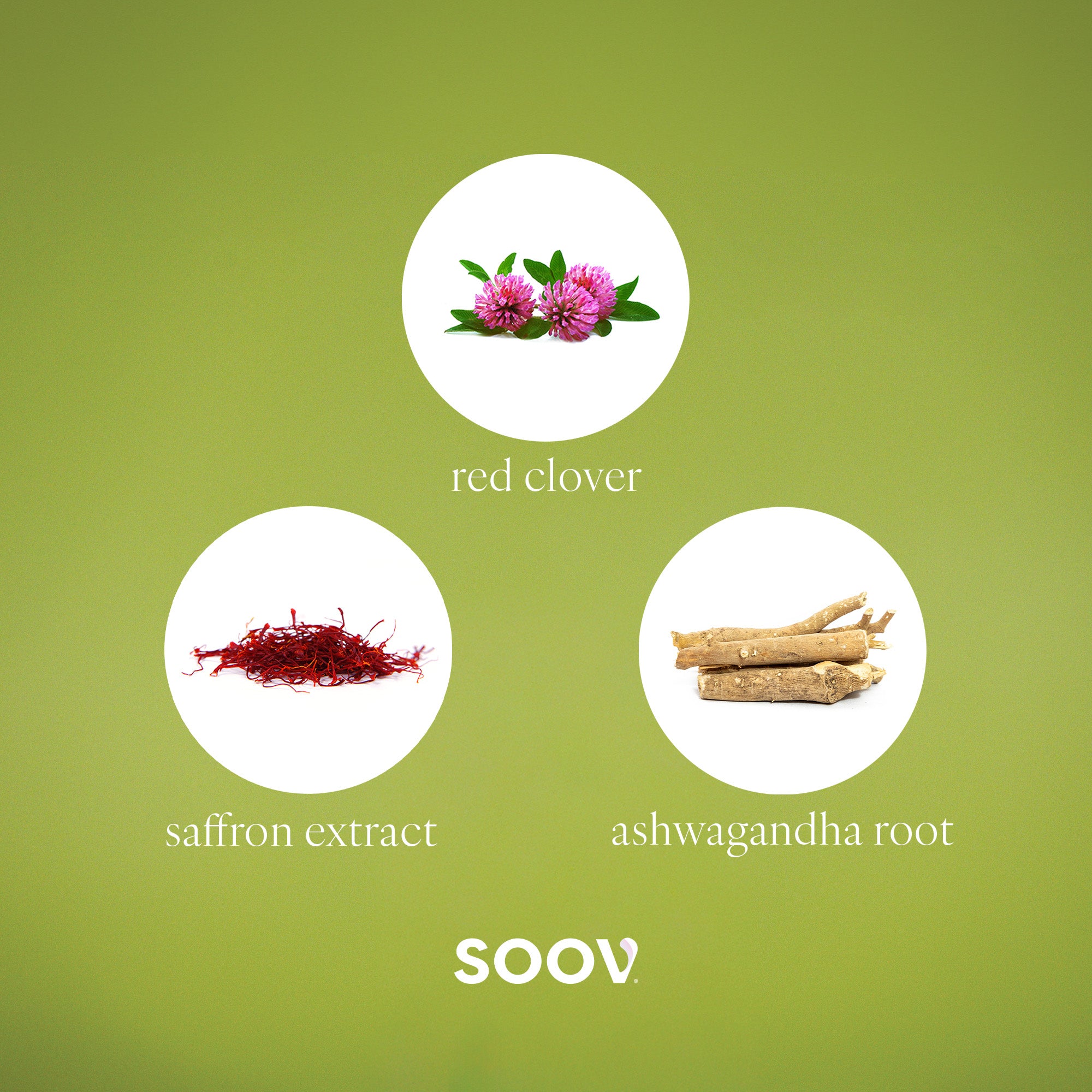 Meno - Menopause Multivitamin