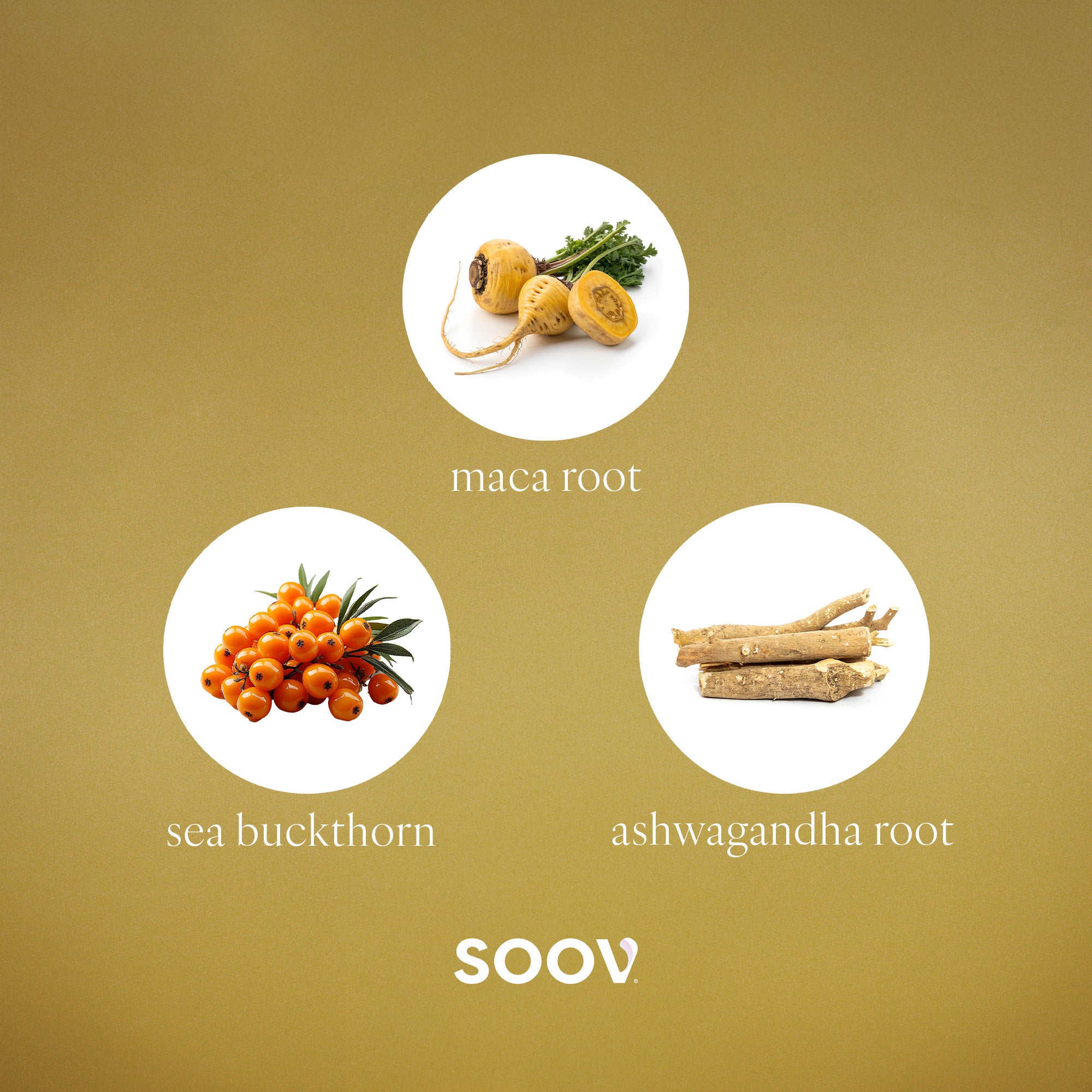 40+ - Perimenopause Multivitamin