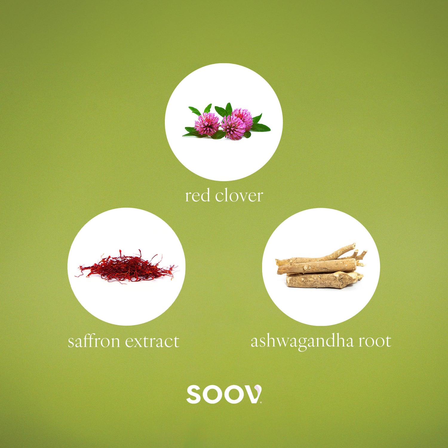 Meno - Menopause Multivitamin